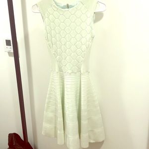 Ted baker mint colored dress